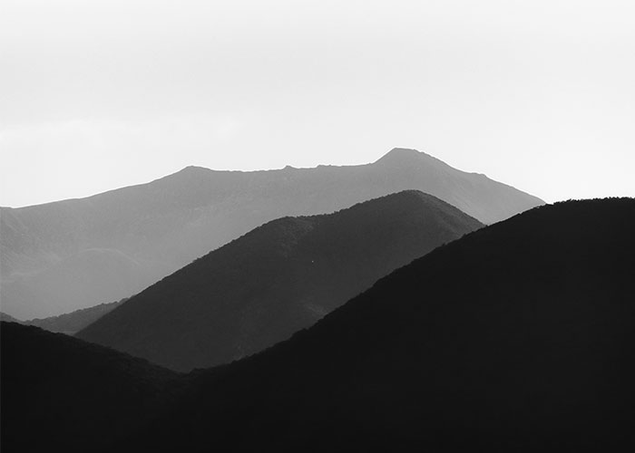 Misty Collection